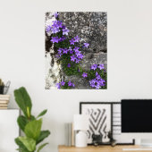 Campanula-Blume wachsen auf einer Mauer Poster (Heimbüro)