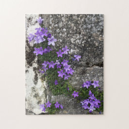 Campanula-Blume wachsen auf einer Mauer Puzzle