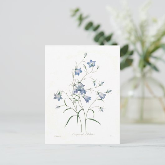 Campanula Clochette Postkarte (Stehend Vorderseite)