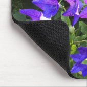 Campanula Cluster (Blue Balloon-Blume) — Mousepad (Ecke)