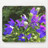 Campanula Cluster (Blue Balloon-Blume) — Mousepad (Vorne)