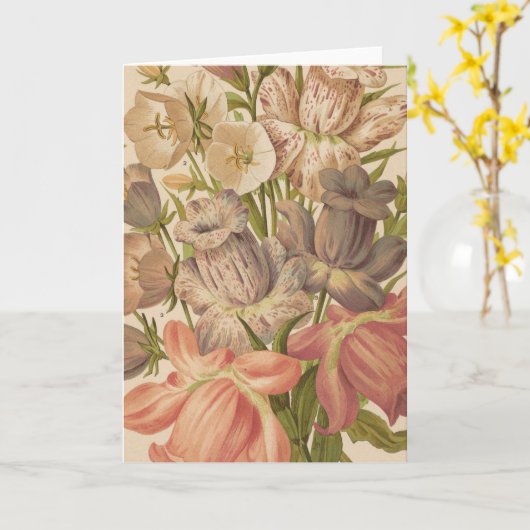 Campanula | George Nicholson Karte (Gelbe Blume)