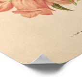 Campanula | George Nicholson Poster (Ecke)