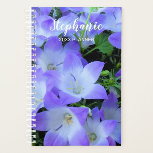Campanula Lila weiße Blumen Fotografie Planer (Vorderseite)