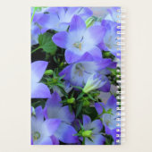 Campanula Lila weiße Blumen Fotografie Planer (Rückseite)