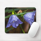 Campanula "Sarastro" (Blütenblume) Mousepad (Mit Mouse)
