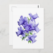 Campanula Vintage Botanical Postcard Postkarte (Vorne/Hinten)
