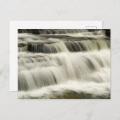 Campbell Falls, West Virginia Postkarte (Vorne/Hinten)