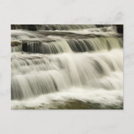 Campbell Falls, West Virginia Postkarte