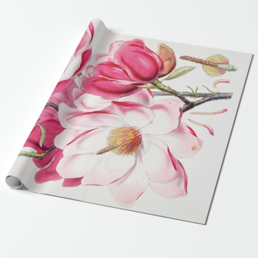 Campbell's Magnolia Geschenkpapier (Ungerollt)