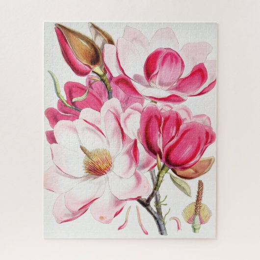 Campbell's Magnolia Puzzle (Vertikal)