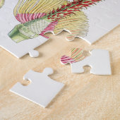 Campbell's Magnolia Puzzle (Seite)