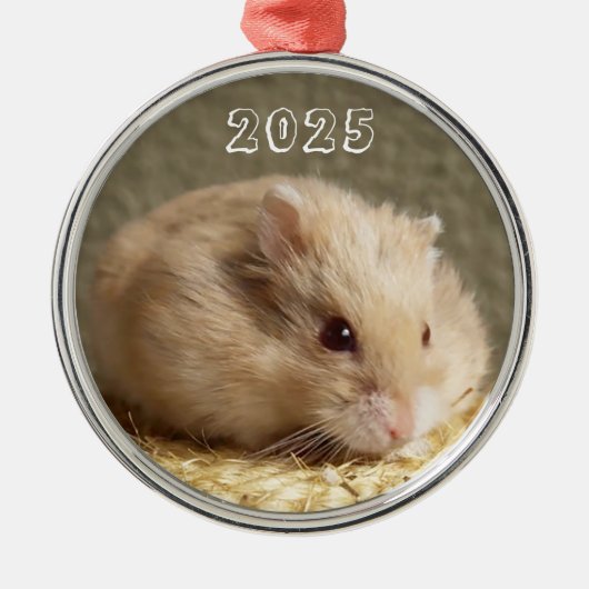 Campbells Zwarf Russischer Hamster Ornament Aus Metall (Vorne)