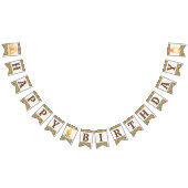 Camping Birthday Bunting Flags Banner (Alle)