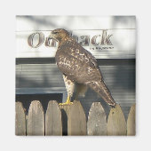 Camping Hawk Magnet (Vorne)