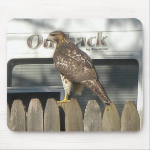 Camping Hawk mousepad