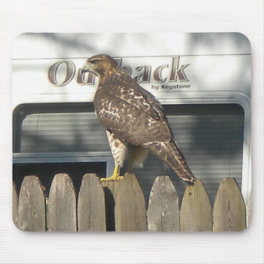 Camping Hawk mousepad (Vorne)