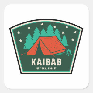Camping Kaibab National Forest Arizona Quadratischer Aufkleber