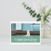 Camping Katze Postkarte (Stehend Vorderseite)