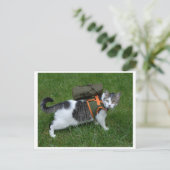 Camping Kitty Postkarte (Stehend Vorderseite)