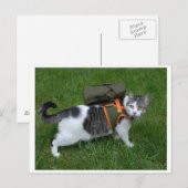 Camping Kitty Postkarte (Vorne/Hinten)