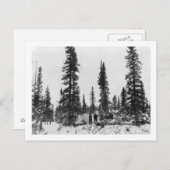 Camping nördlich des Polarkreises Postkarte (Vorne/Hinten)