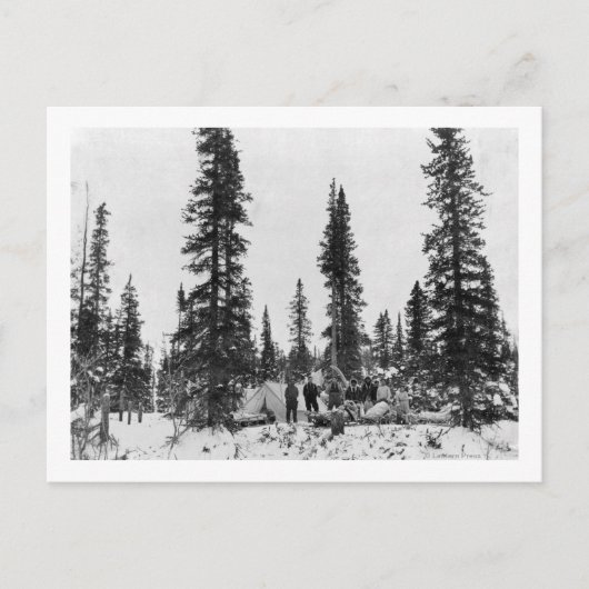 Camping nördlich des Polarkreises Postkarte (Vorderseite)