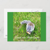 Campingbesucher Postkarte (Vorne/Hinten)