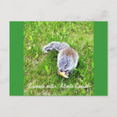 Campingbesucher Postkarte (Vorderseite)