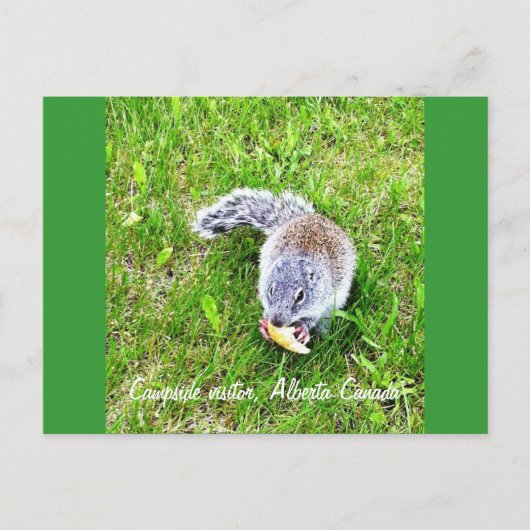 Campingbesucher Postkarte (Vorderseite)