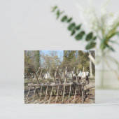 Campingplatz Colonial Williamsburg Postkarte (Stehend Vorderseite)