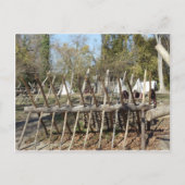 Campingplatz Colonial Williamsburg Postkarte (Vorderseite)