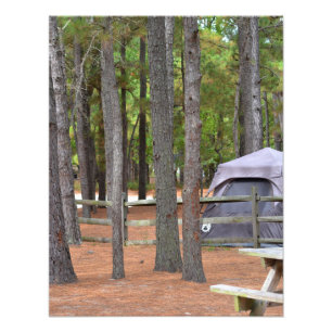 Campingplatz mit Zelt und Zaun im Wald Fotodruck