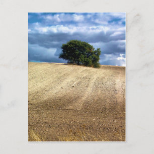 Campos de cultivo en Valdelaguna, Madrid Postkarte
