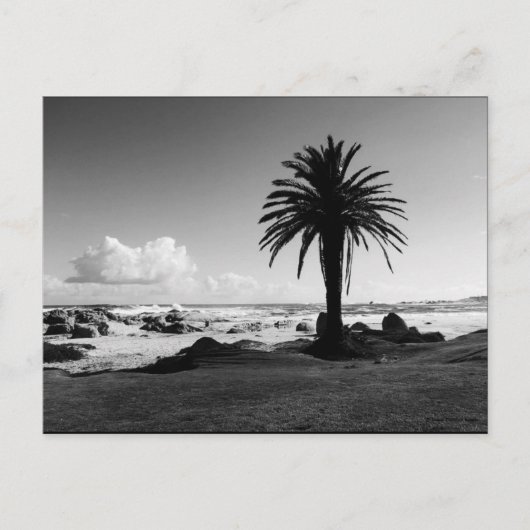 "Camps Bay South Africa" BW JTG Postcard Postkarte (Vorderseite)