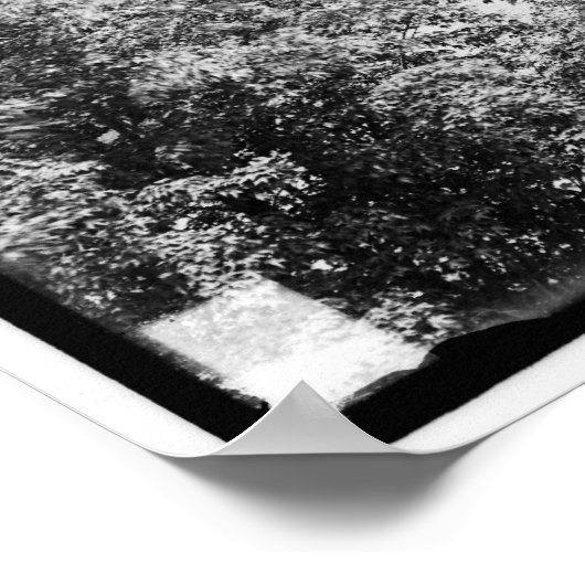 Campus, Amherst Uni, Amherst, Mass. c1905 Poster (Ecke)