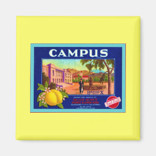 Campus-Marken-Zitronen ~ Vintager Magnet