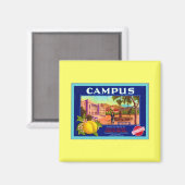 Campus-Markenbezeichnungen Lemons ~ Vintages Fruch Magnet (Vorderseite/Rückseite)