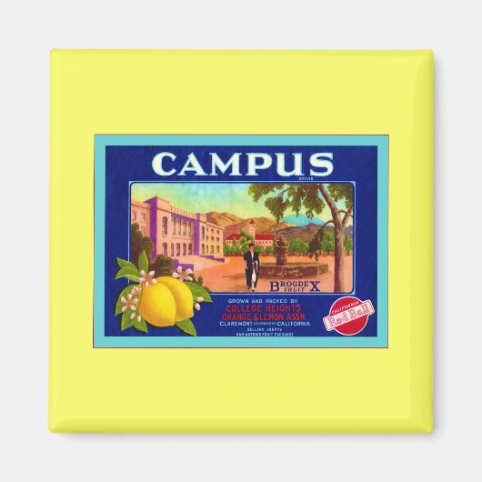 Campus-Markenbezeichnungen Lemons ~ Vintages Fruch Magnet (Vorne)
