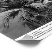 Campus Scene, UC Irvine, 1967 Poster (Ecke)