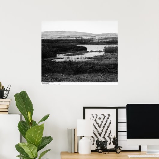 Campus von überall Wildlife Pool, Irvine, 1967 Poster (Heimbüro)