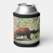 Can Cooler Foto roten Panda , Tiere 0001. Dosenkühler (Kanne Rückseite)