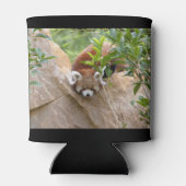 Can Cooler Foto roten Panda , Tiere 0069. Dosenkühler (Rückseite)