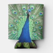 Can Cooler - Pfauenportrait Dosenkühler (Vorderseite)