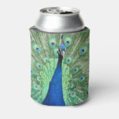 Can Cooler - Pfauenportrait Dosenkühler (Kanne Rückseite)