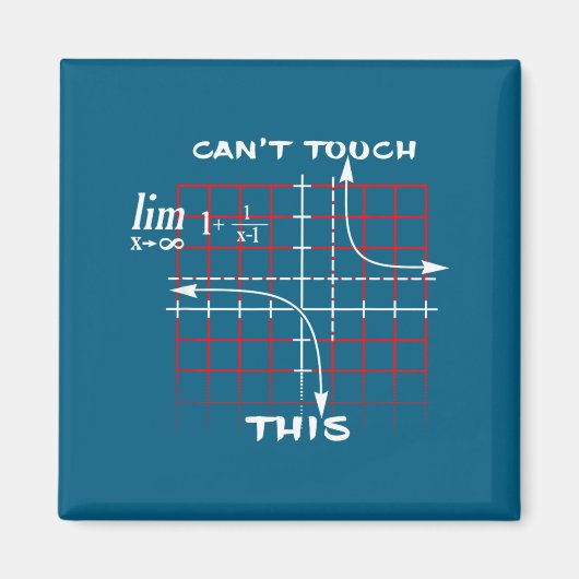 Can T Touch This Equation Math Funny Gift Magnet (Vorne)
