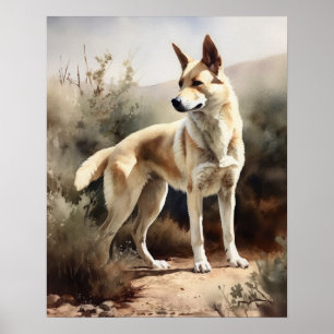 Canaan Dog Art Print Poster