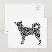 Canaan Dog Postkarte (Vorne/Hinten)
