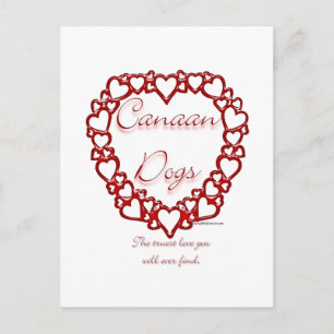Canaan Dog True Love Postkarte