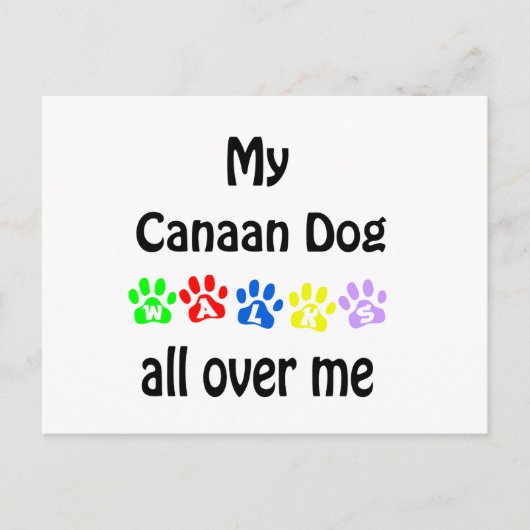 Canaan Dog Walks Design Postkarte (Vorderseite)
